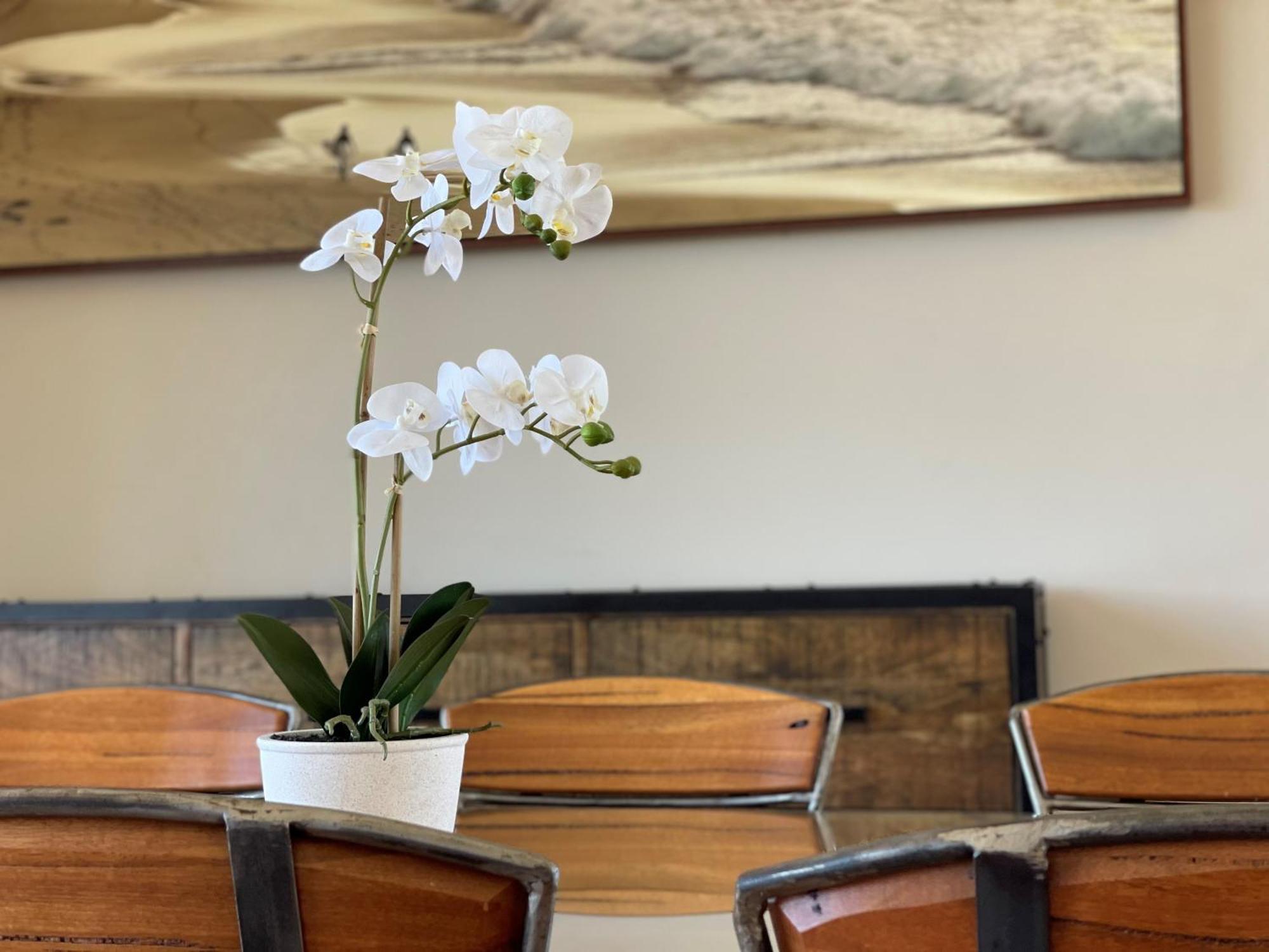 Barwon Heads Resort Værelse billede